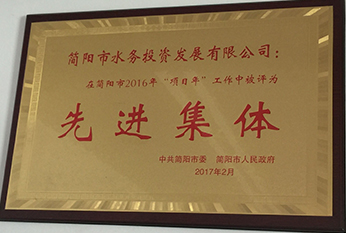 2017年先进集体