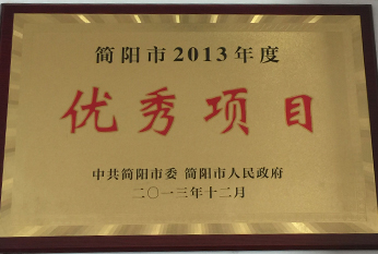 2013年优秀项目