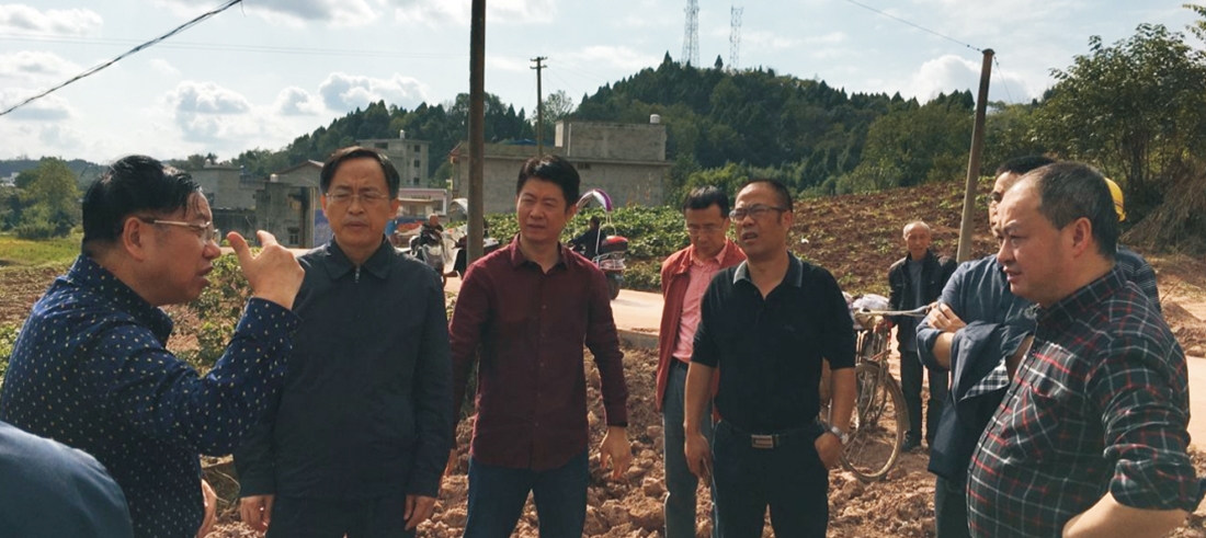 刘总陪同农委领导视察高标准农田